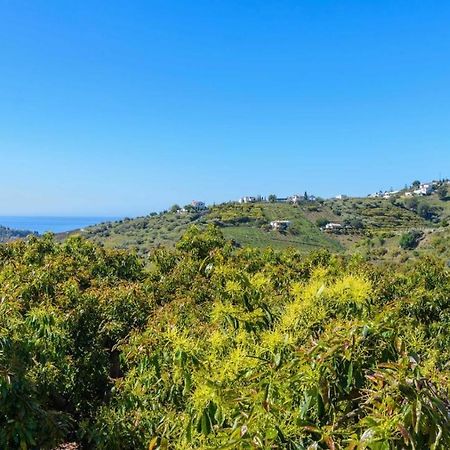 Villa Javier De Frigiliana By Ruralidays المظهر الخارجي الصورة